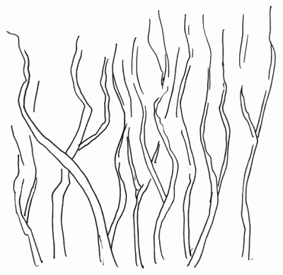 How to Draw Spring Landscapes - Pen and Ink Drawings by Rahul Jain