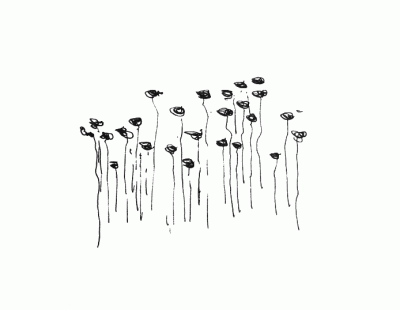 How to Draw Spring Flowers - Pen and Ink Drawings by Rahul Jain